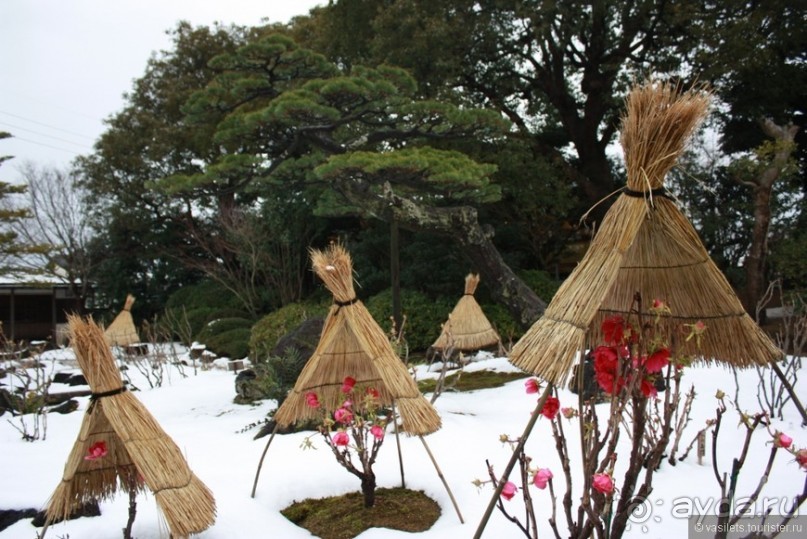 Случайно в Японии встретить гейшу