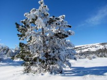 Зимняя Ялта, снежный Ай-Петри