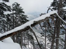 Зимняя Ялта, снежный Ай-Петри