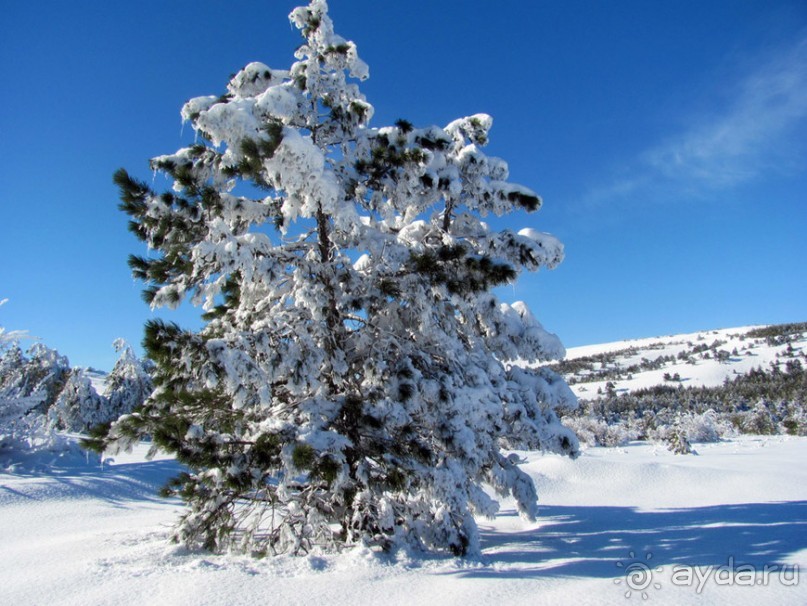 Зимняя Ялта, снежный Ай-Петри