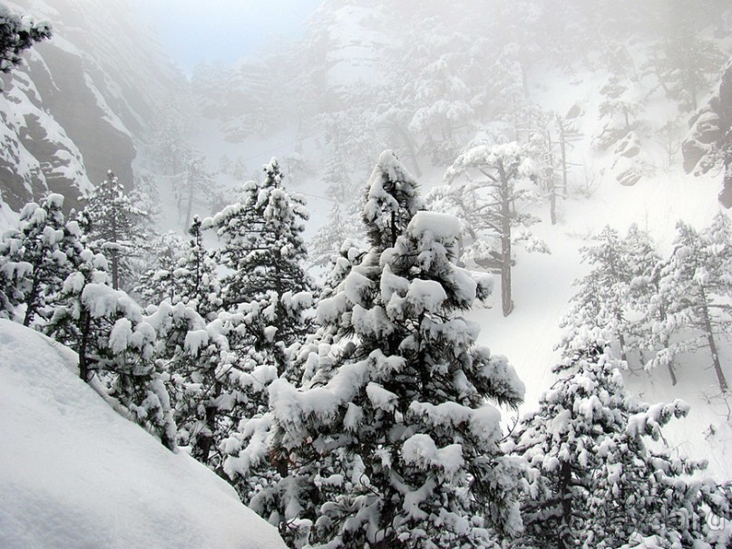 Зимняя Ялта, снежный Ай-Петри