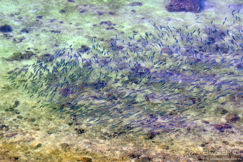 Неожиданно интересный Оман