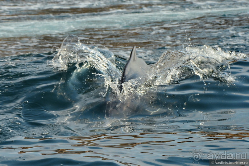 Неожиданно интересный Оман