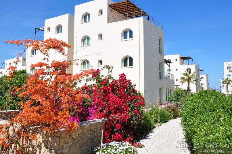 Отзыв об отеле Aphrodite Beachfront Resort, Газиверен