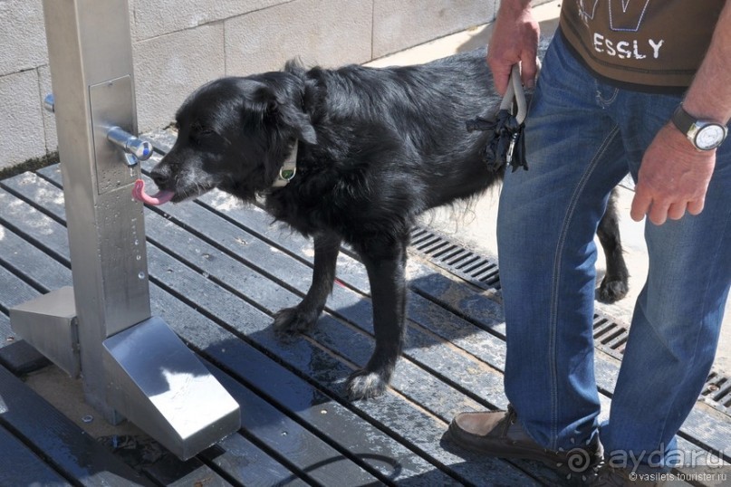 Ривьера-Лиссабон. Коротко об интересном.