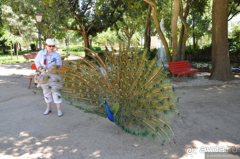 Ривьера-Лиссабон. Коротко об интересном.