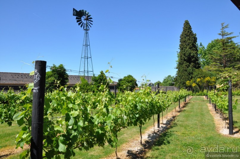 Ривьера-Лиссабон. Коротко об интересном.