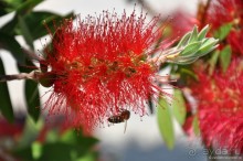 Португальская глубинка