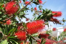 Португальская глубинка