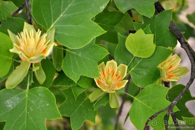 Португальская глубинка Португальская глубинка