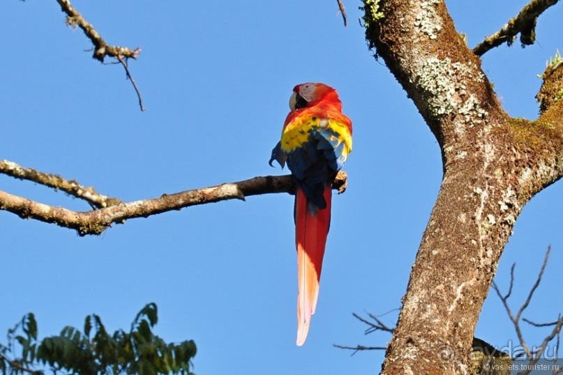 Песнь о Гондурасе