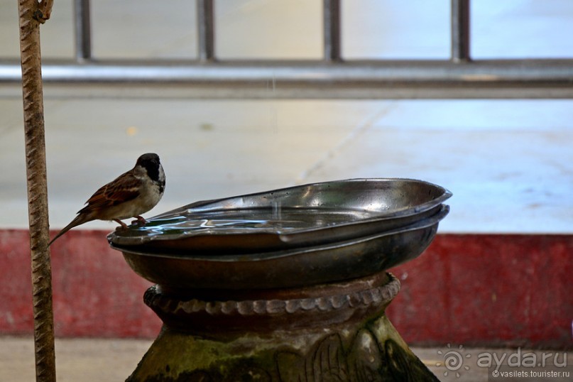 Бирманский небоскреб, храмы-дворцы и лачуги