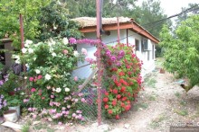 Деревня, дача, Турция? Выбор очевиден...