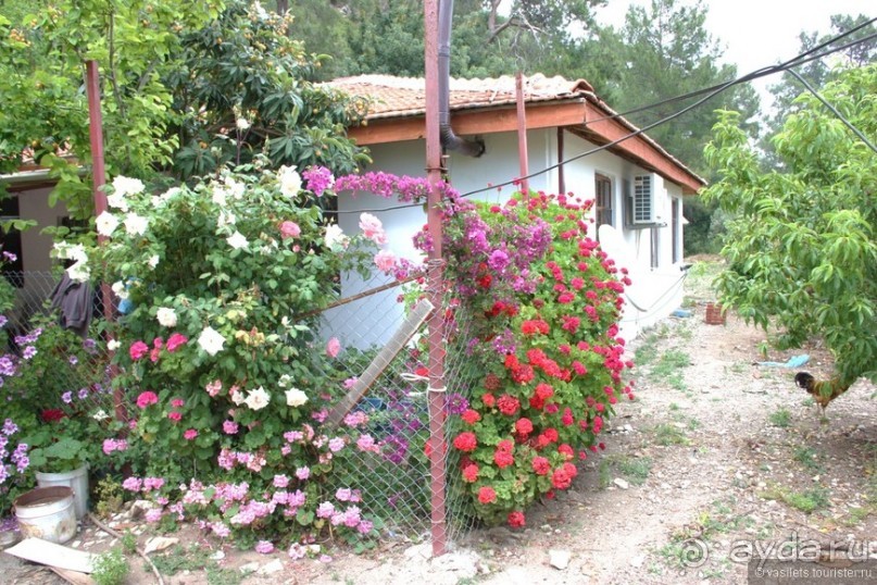 Деревня, дача, Турция? Выбор очевиден...