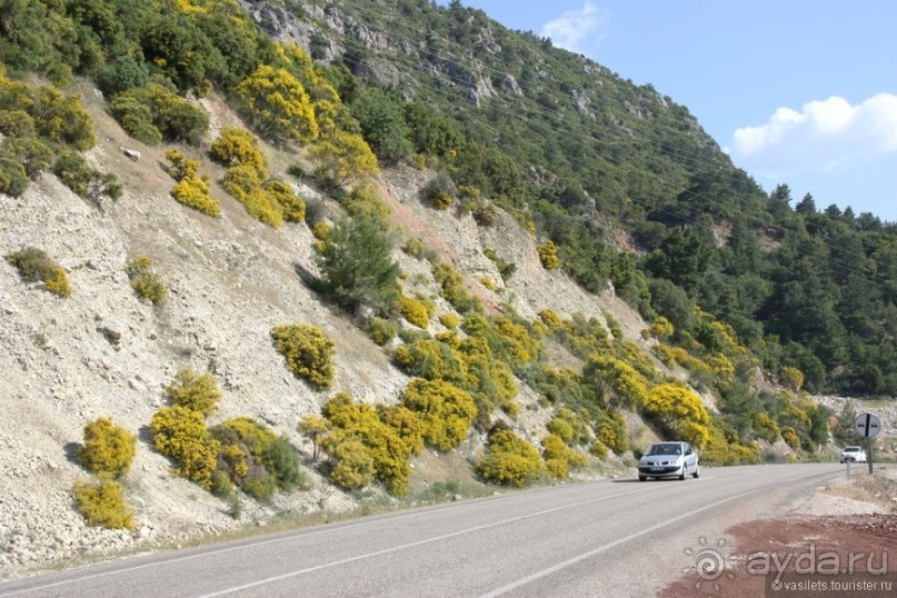 Деревня, дача, Турция? Выбор очевиден...