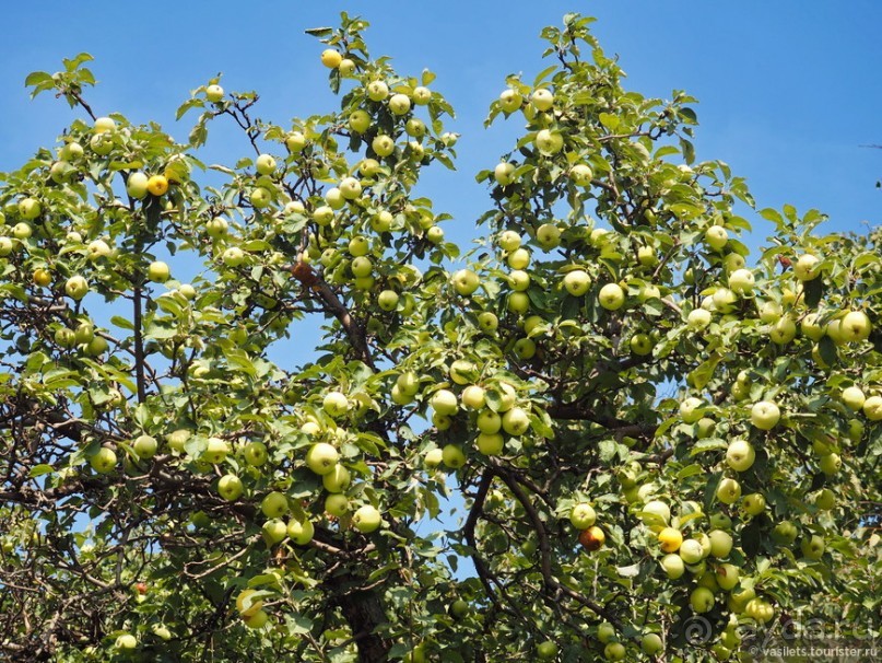 Мистическое Коломенское