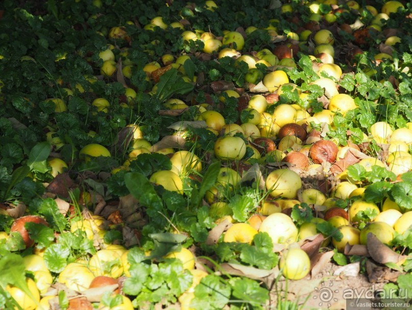 Мистическое Коломенское