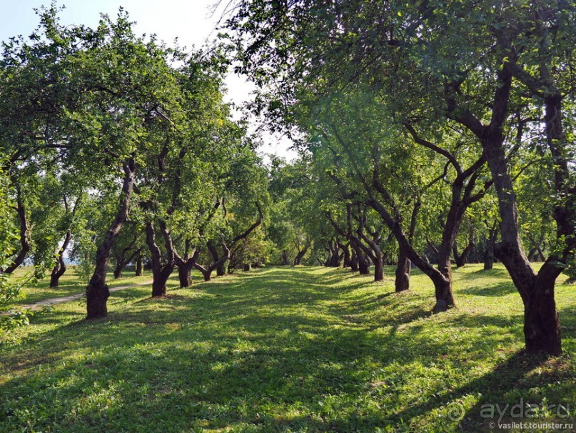 Мистическое Коломенское