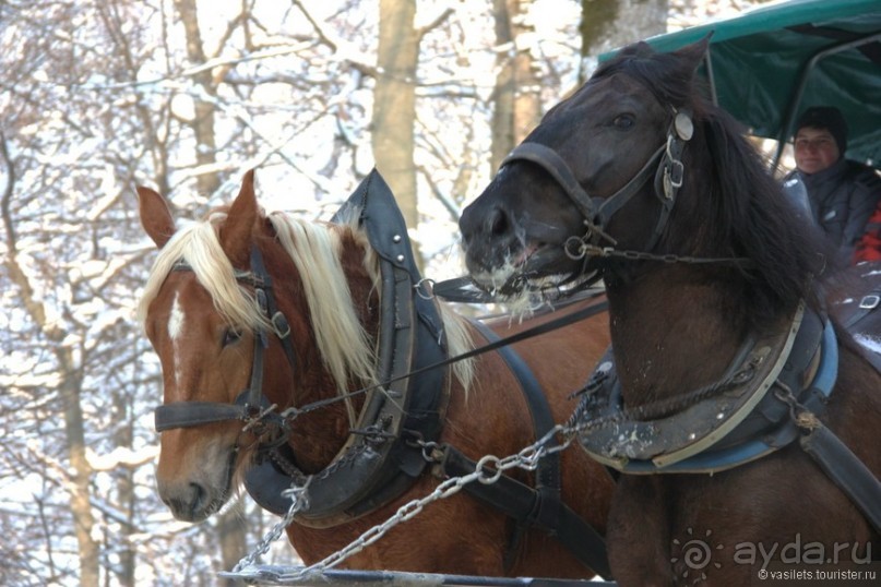 Хоэншвангау, что рядом с Фюссеном