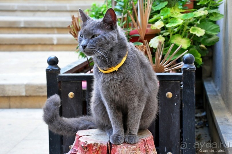 Баку древний, Баку модерновый