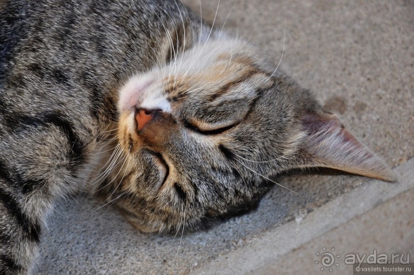 Баку древний, Баку модерновый
