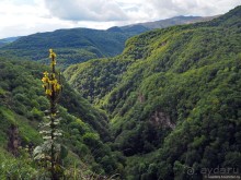 Горный Дагестан