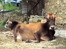 Горный Дагестан