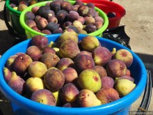 Горный Дагестан