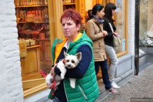 Наскоком по Бенилюксу