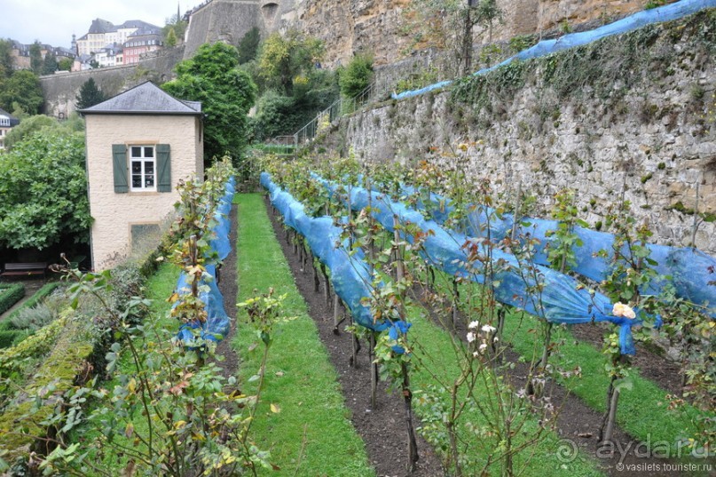 Наскоком по Бенилюксу