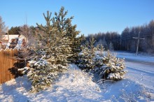 Карельская деревенька Рубчойла