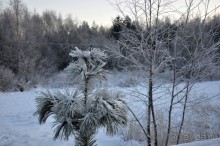 Карельская деревенька Рубчойла