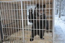 Карельская деревенька Рубчойла