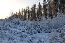 Карельская деревенька Рубчойла