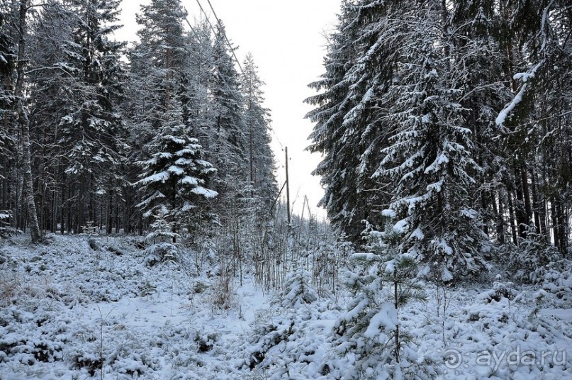 Карельская деревенька Рубчойла