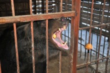 Карельская деревенька Рубчойла