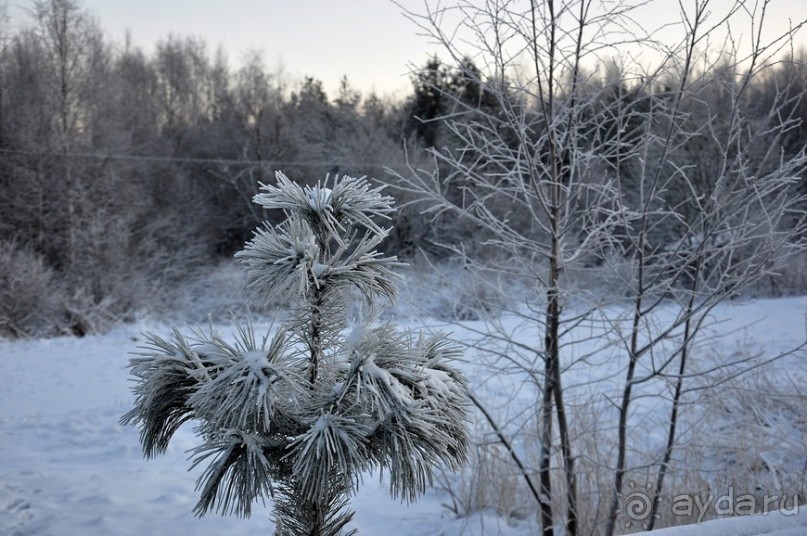 Карельская деревенька Рубчойла