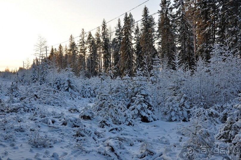 Карельская деревенька Рубчойла