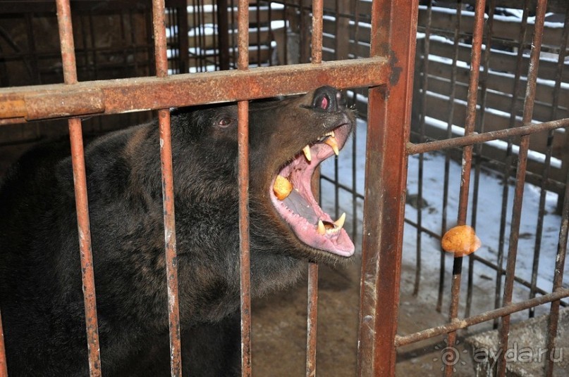 Карельская деревенька Рубчойла