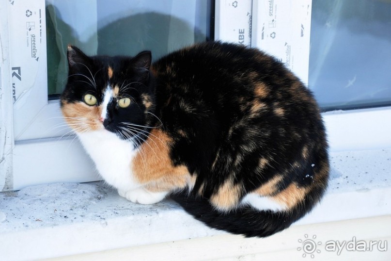 Карельская деревенька Рубчойла