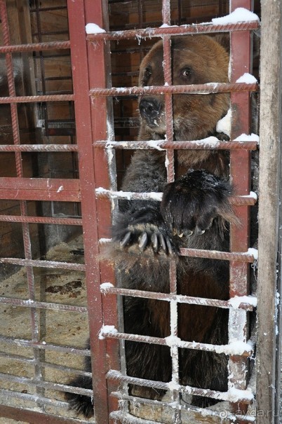 Карельская деревенька Рубчойла