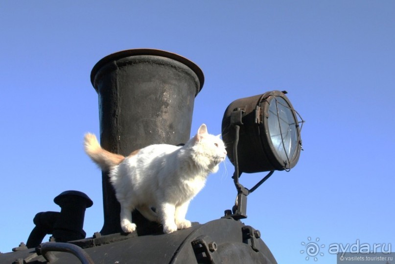 Неожиданно интересный Переславль