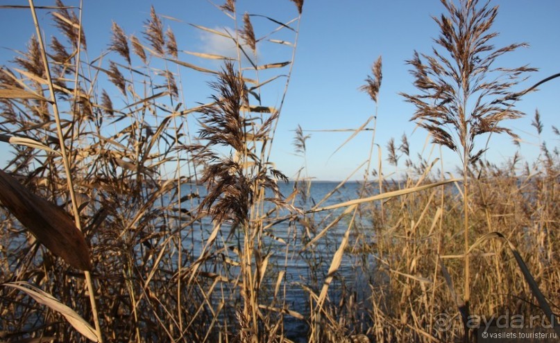 Неожиданно интересный Переславль