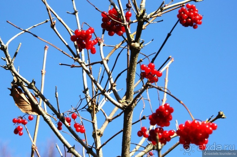 Неожиданно интересный Переславль