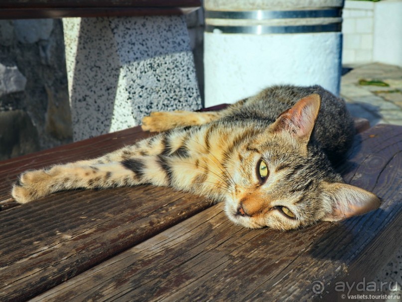 Балканский блиц-2. Котор, Ульцинь, Каньоны