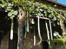 Балканский блиц-2. Котор, Ульцинь, Каньоны