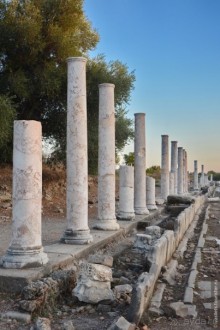 Два баклажана в Сиде