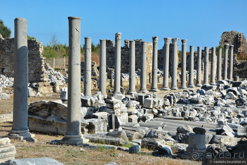 Два баклажана в Сиде