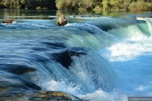 Два баклажана в Сиде