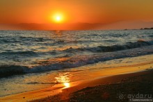 Два баклажана в Сиде